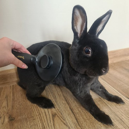 6f734413b1ddc1c4c84d71ab962f845d 6f734413b1ddc1c4c84d71ab962f845d